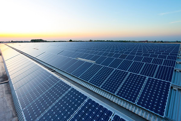 Expansive rooftop solar panel installation capturing sunlight at sunrise, maximising renewable energy efficiency. ARC Renewables provides large-scale commercial solar solutions across the UK.