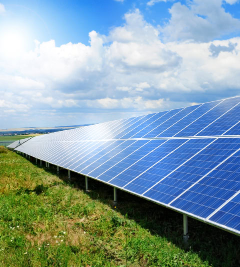 Large solar panel array installed on open land, capturing sunlight for renewable energy generation under a bright blue sky. ARC Renewables helps businesses and landowners transition to sustainable solar power solutions.