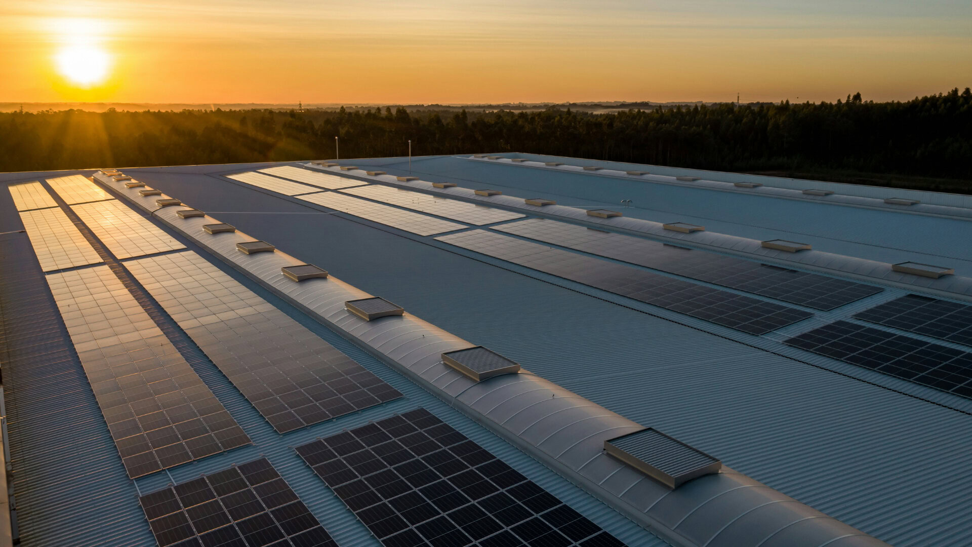 Extensive commercial rooftop solar panel installation under a clear sky, with a technician inspecting the system for optimal energy efficiency. ARC Renewables provides large-scale solar solutions for businesses across the UK.