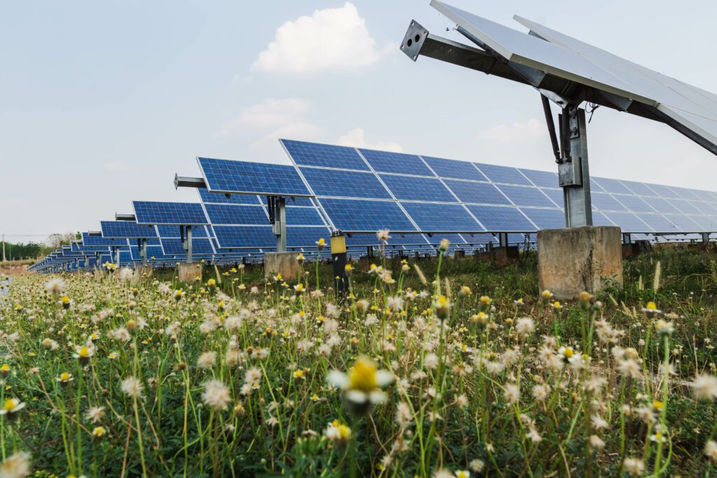 Best Solar Panels For Industrial Use