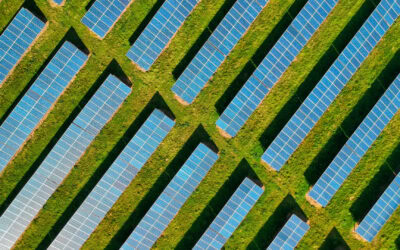 Grid Connection And Energy Storage Delays Are Holding Up Decarbonisation Efforts MPs Warn